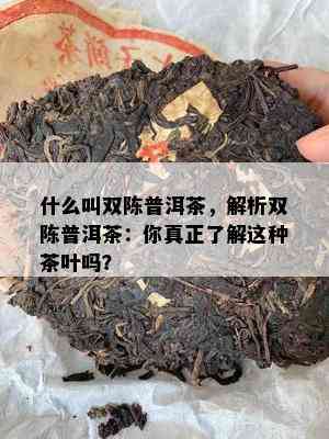 什么叫双陈普洱茶，解析双陈普洱茶：你真正了解这种茶叶吗？