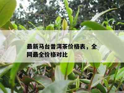 最新马台普洱茶价格表，全网最全价格对比