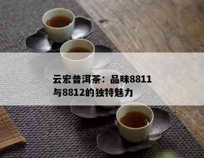 云宏普洱茶：品味8811与8812的独特魅力