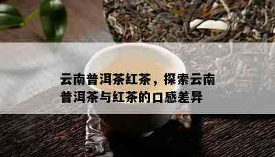 云南普洱茶红茶，探索云南普洱茶与红茶的口感差异