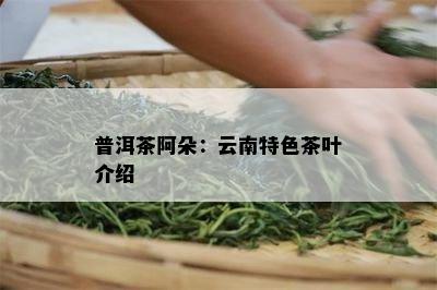 普洱茶阿朵：云南特色茶叶介绍