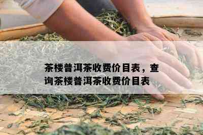 茶楼普洱茶收费价目表，查询茶楼普洱茶收费价目表