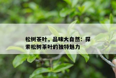 松树茶叶，品味大自然：探索松树茶叶的特别魅力