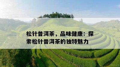 松针普洱茶，品味健康：探索松针普洱茶的特别魅力