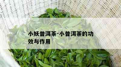 小妖普洱茶-小普洱茶的功效与作用