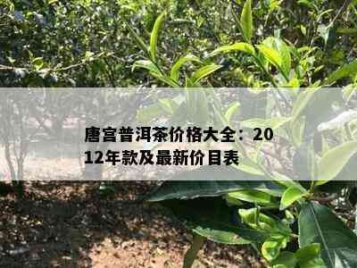 唐宫普洱茶价格大全：2012年款及最新价目表