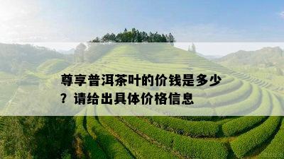 尊享普洱茶叶的价钱是多少？请给出具体价格信息