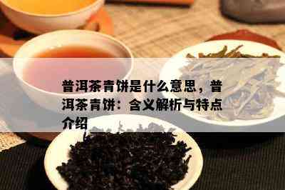 普洱茶青饼是什么意思，普洱茶青饼：含义解析与特点介绍