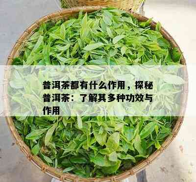 普洱茶都有什么作用，探秘普洱茶：了解其多种功效与作用