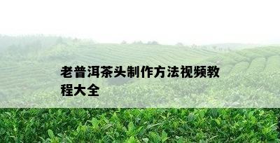 老普洱茶头制作方法视频教程大全