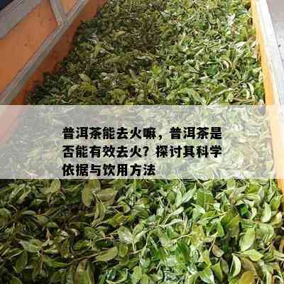 普洱茶能去火嘛，普洱茶是否能有效去火？探讨其科学依据与饮用方法