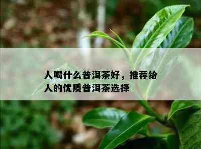 人喝什么普洱茶好，推荐给人的优质普洱茶选择