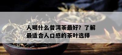 人喝什么普洱茶更好？熟悉最适合人口感的茶叶选择