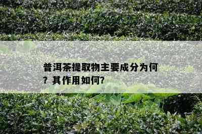 普洱茶提取物主要成分为何？其作用怎样？