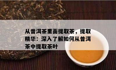 从普洱茶里面提取茶，提取精华：深入熟悉怎样从普洱茶中提取茶叶