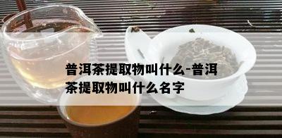 普洱茶提取物叫什么-普洱茶提取物叫什么名字