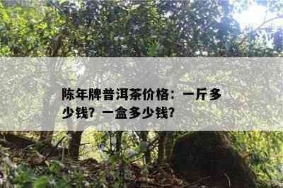 陈年牌普洱茶价格：一斤多少钱？一盒多少钱？