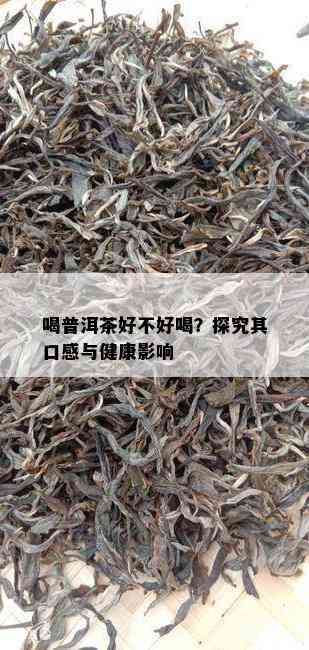 喝普洱茶好不好喝？探究其口感与健康作用