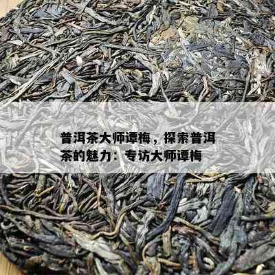 普洱茶大师谭梅，探索普洱茶的魅力：专访大师谭梅