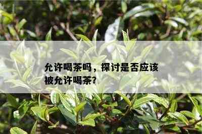 允许喝茶吗，探讨是不是应被允许喝茶？