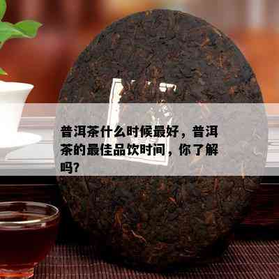 普洱茶什么时候更好，普洱茶的更佳品饮时间，你熟悉吗？