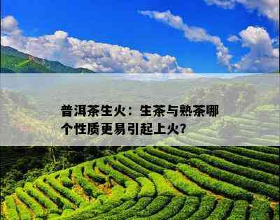 普洱茶生火：生茶与熟茶哪个性质更易引起上火？