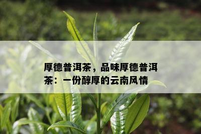 厚德普洱茶，品味厚德普洱茶：一份醇厚的云南风情