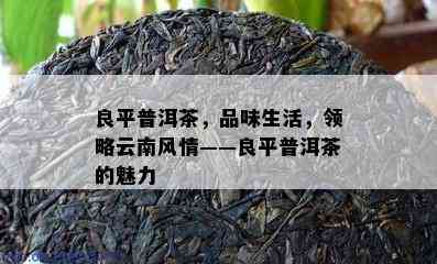 良平普洱茶，品味生活，领略云南风情——良平普洱茶的魅力