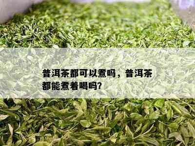 普洱茶都可以煮吗，普洱茶都能煮着喝吗？