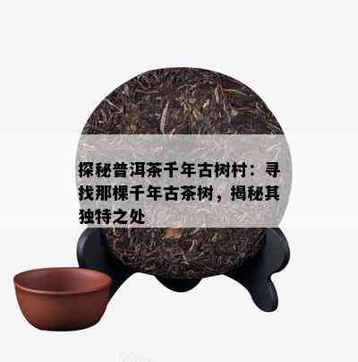 探秘普洱茶千年古树村：寻找那棵千年古茶树，揭秘其特别之处