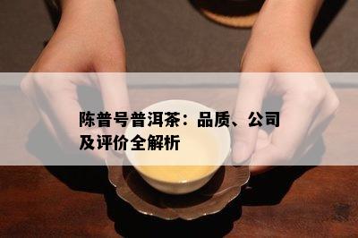 陈普号普洱茶：品质、公司及评价全解析