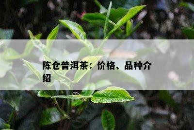 陈仓普洱茶：价格、品种介绍