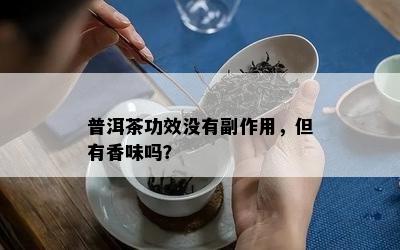 普洱茶功效不存在副作用，但有香味吗？