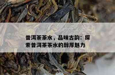 普洱茶茶水，品味古韵：探索普洱茶茶水的醇厚魅力