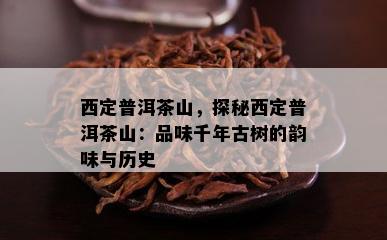 西定普洱茶山，探秘西定普洱茶山：品味千年古树的韵味与历史