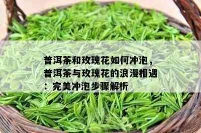 普洱茶和玫瑰花怎样冲泡，普洱茶与玫瑰花的浪漫相遇：完美冲泡步骤解析