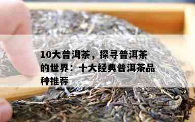 10大普洱茶，探寻普洱茶的世界：十大经典普洱茶品种推荐