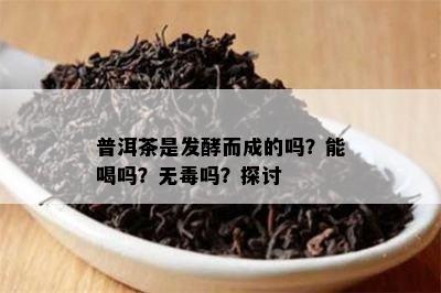 普洱茶是发酵而成的吗？能喝吗？无吗？探讨