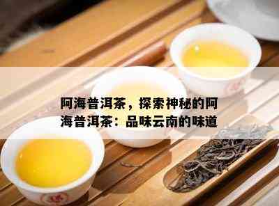 阿海普洱茶，探索神秘的阿海普洱茶：品味云南的味道