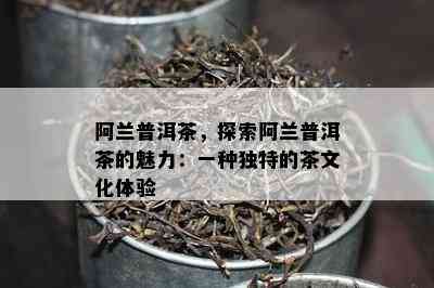 阿兰普洱茶，探索阿兰普洱茶的魅力：一种特别的茶文化体验