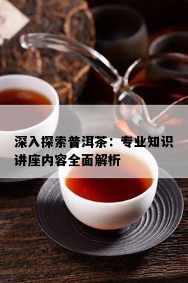 深入探索普洱茶：专业知识讲座内容全面解析