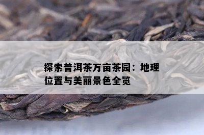 探索普洱茶万亩茶园：地理位置与美丽景色全览