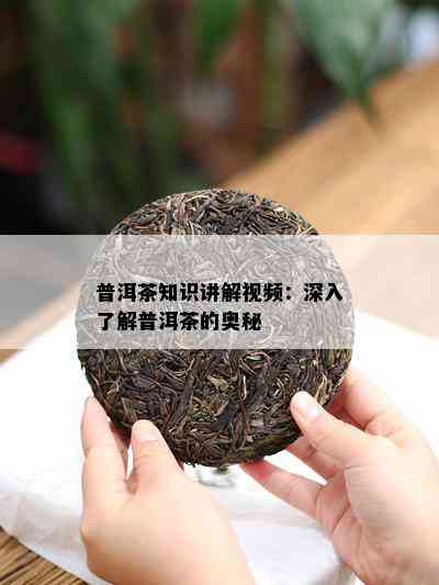 普洱茶知识讲解视频：深入了解普洱茶的奥秘