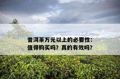 普洱茶万元以上的必要性：值得购买吗？真的有效吗？