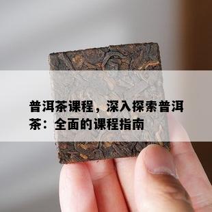 普洱茶课程，深入探索普洱茶：全面的课程指南