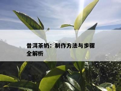 普洱茶奶：制作方法与步骤全解析