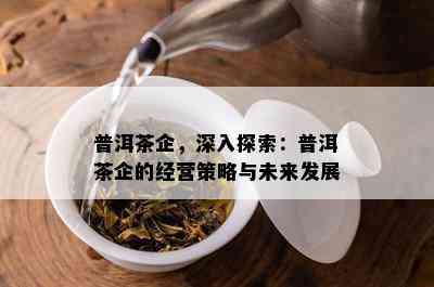 普洱茶企，深入探索：普洱茶企的经营策略与未来发展