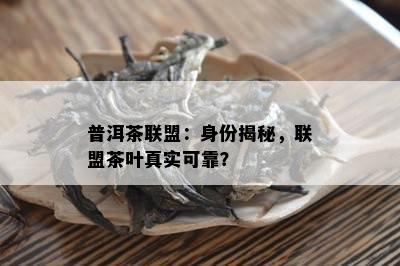 普洱茶联盟：身份揭秘，联盟茶叶真实可靠？