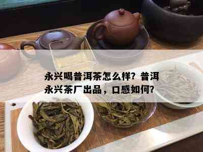 永兴喝普洱茶怎么样？普洱永兴茶厂出品，口感怎样？