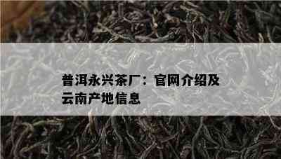 普洱永兴茶厂：官网介绍及云南产地信息